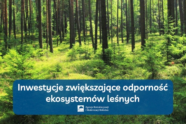 Inwestycje zwiększające odporność ekosystemów leśnych (baner)