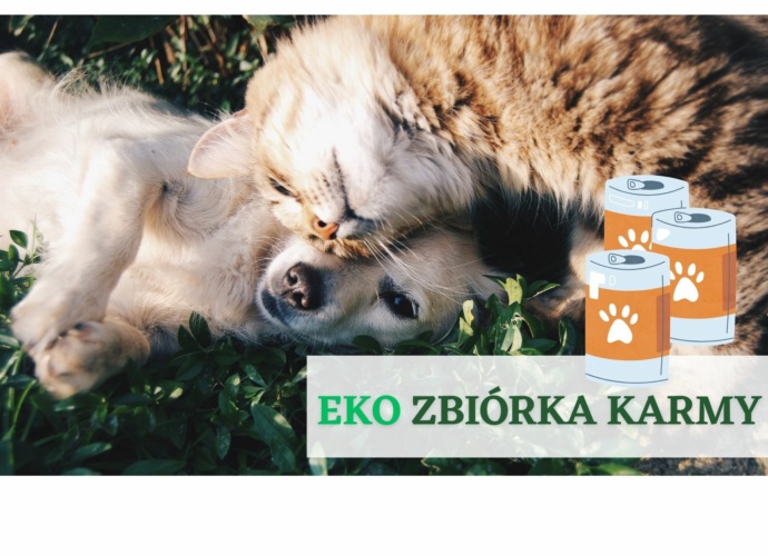 EKO Zbiórka karmy dla zwierząt (zdjęcie psów)