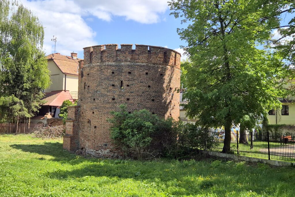 Zdjęcie z Trasy Eko-busu (fragment murów obronnych)
