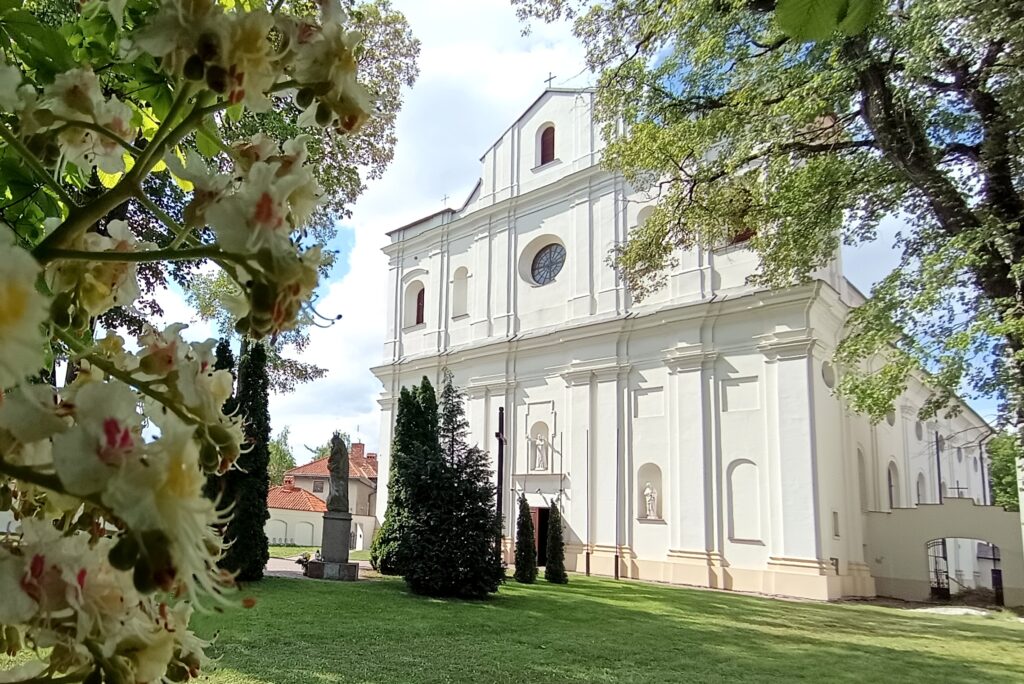 Zdjęcie z Trasy Eko-busu (Kościół pw. św. Piotra i Pawła)