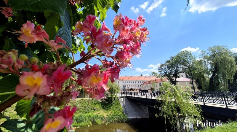 Kanał (zdjęcie 1)