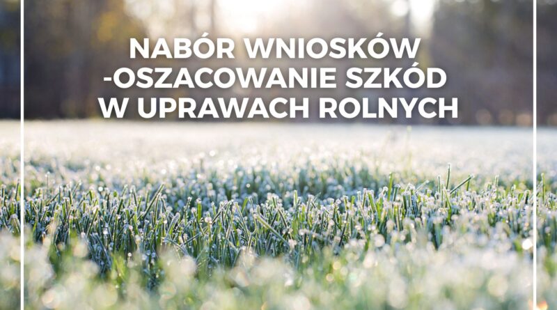 Nabór wniosków - oszacowanie szkód w uprawach rolnych (Obrazek wyróżniający przedstawiający łąkę i las)