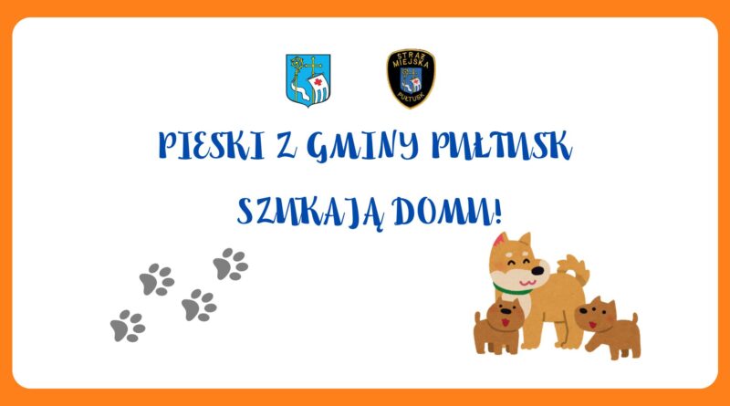 PIESKI Z GMINY PUŁTUSK SZUKAJĄ DOMU (baner)