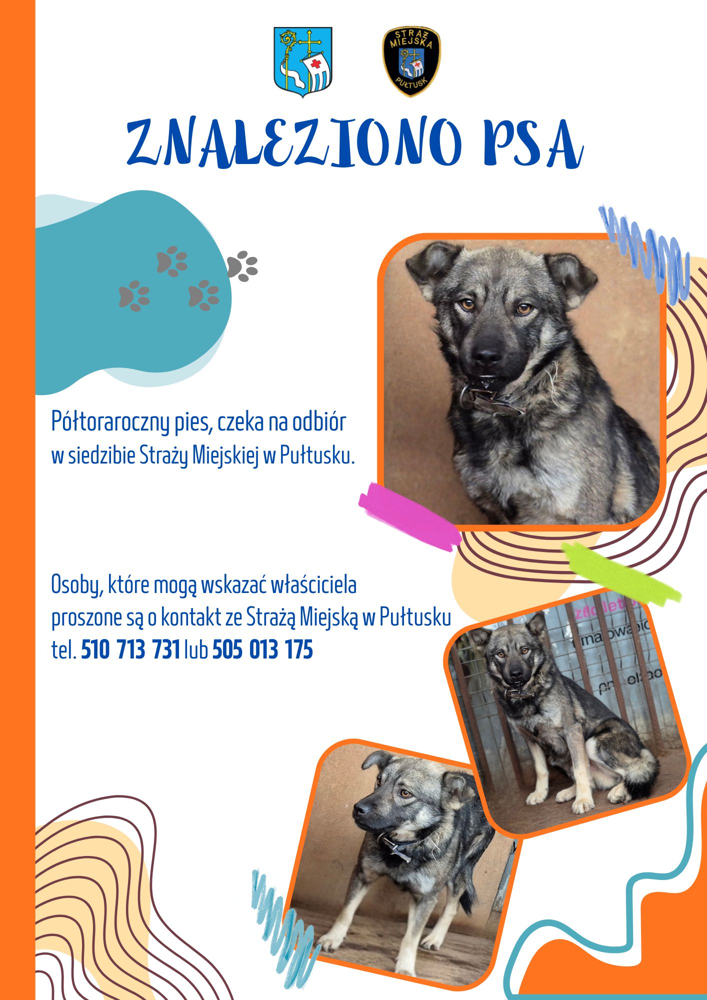 Informacja dot. znalezionego psa