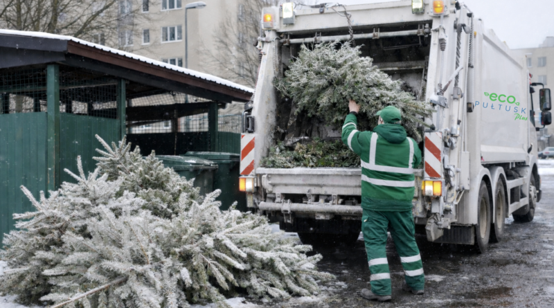 Wywóz choinek