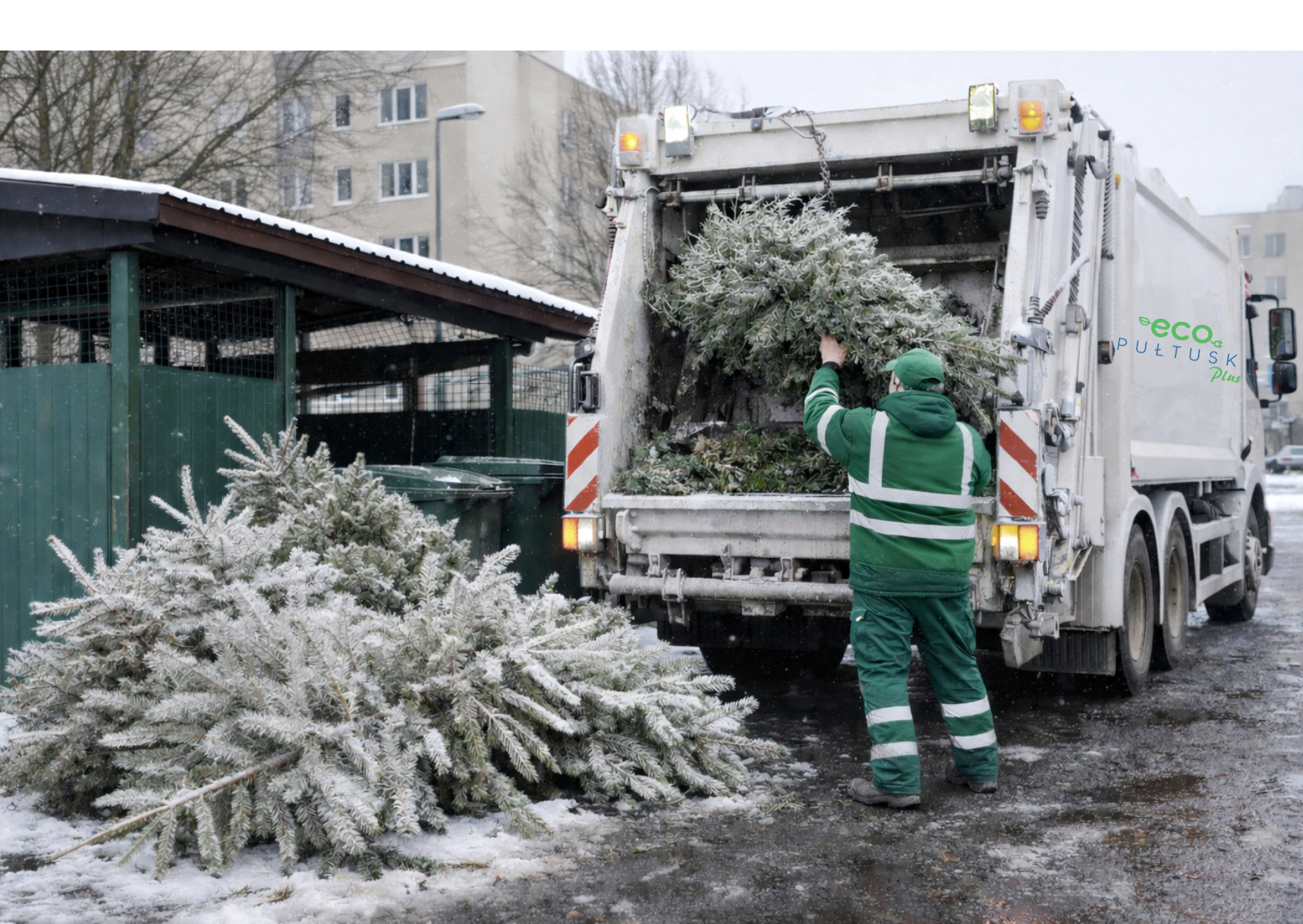 Wywóz choinek