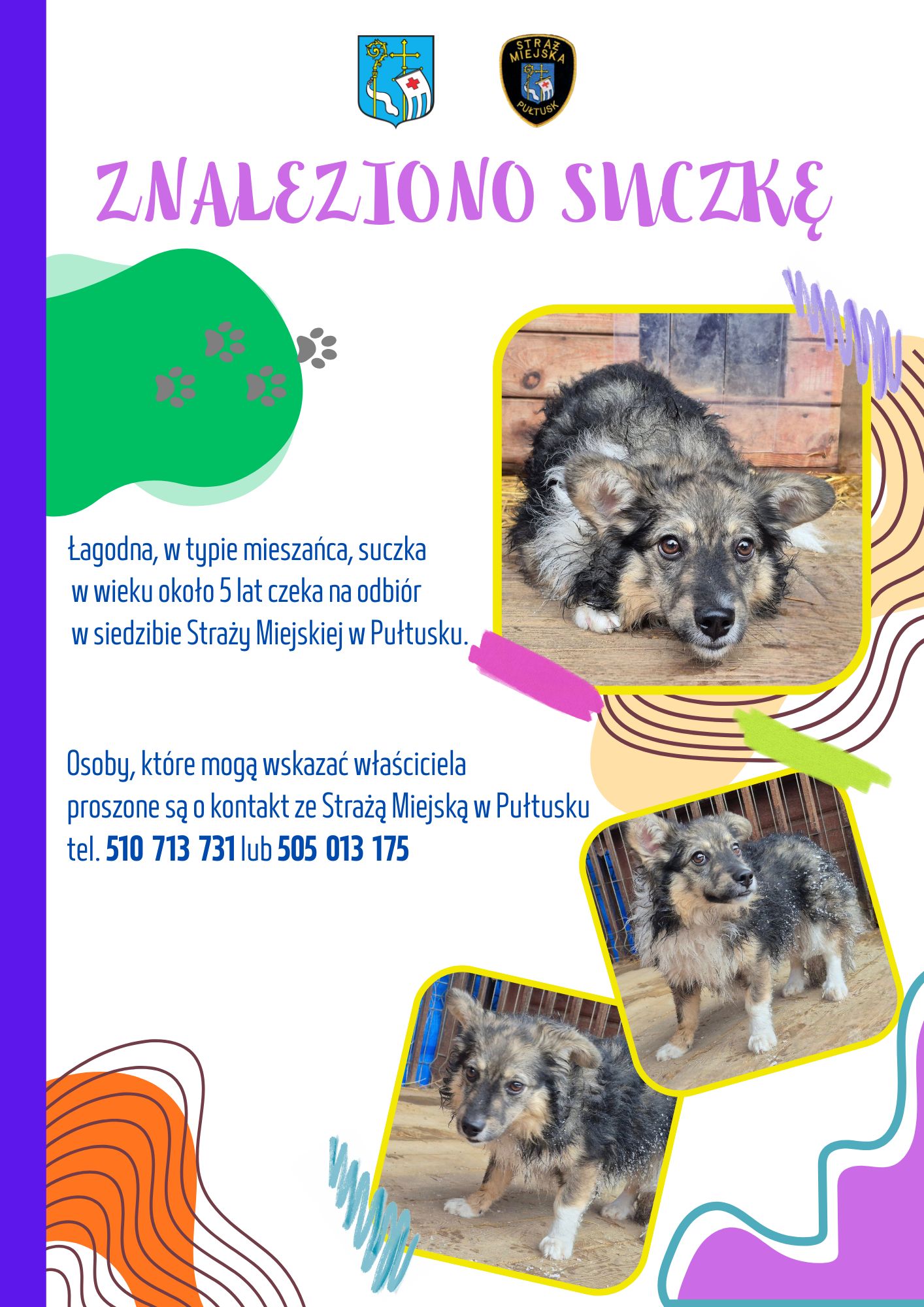 Plakat ze znalezioną suczką