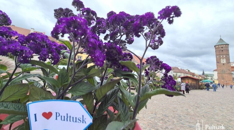 II Pułtuski Festiwal Roślin Ogrodowych (138)