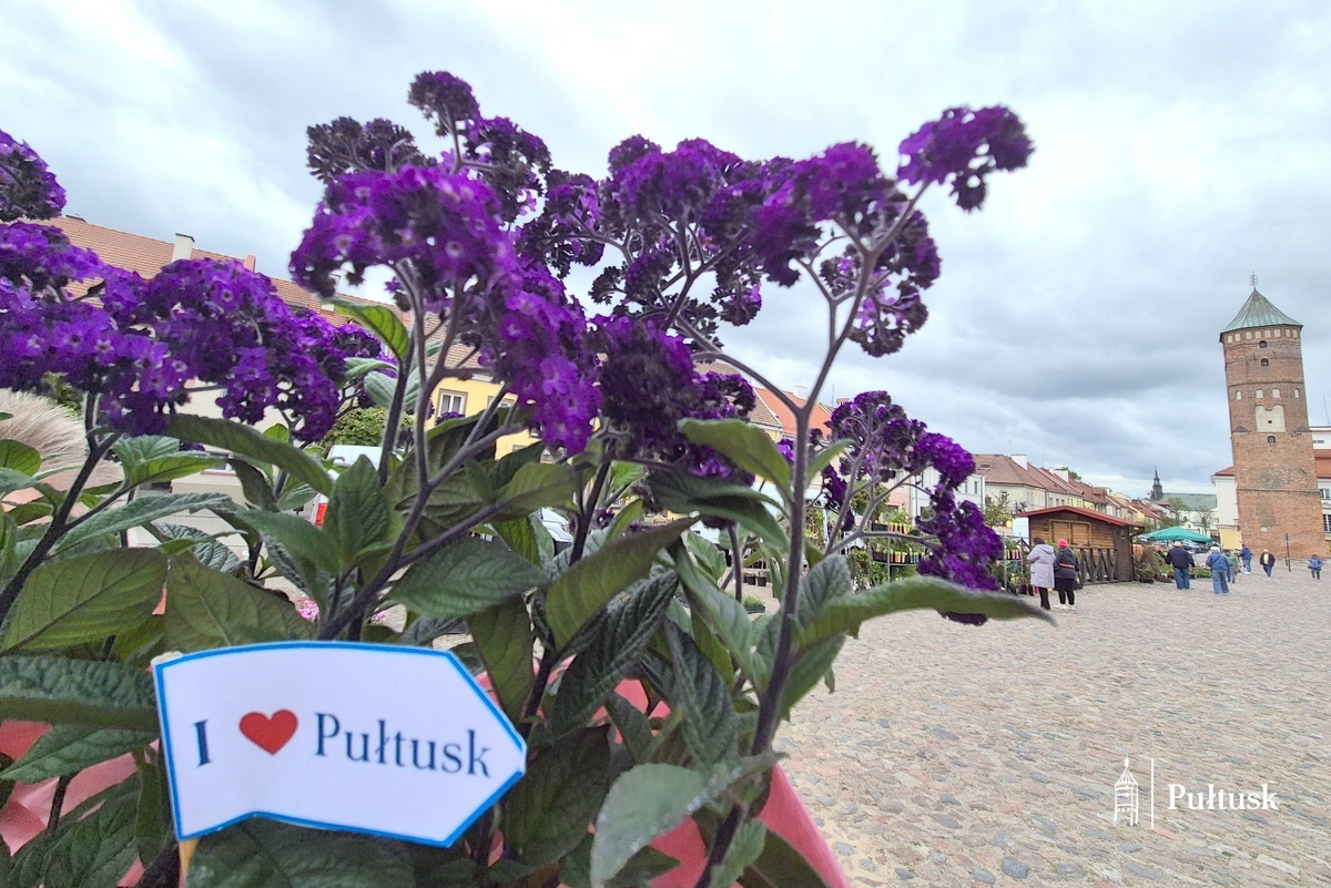 II Pułtuski Festiwal Roślin Ogrodowych (138)