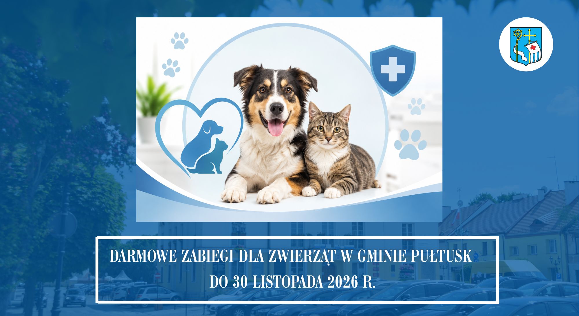DARMOWE ZABIEGI DLA ZWIERZĄT W GMINIE PUŁTUSK DO 30 LISTOPADA 2026 R. (Zdjęcia: zwierząt oraz Urzędu Miejskiego w Pułtusku)