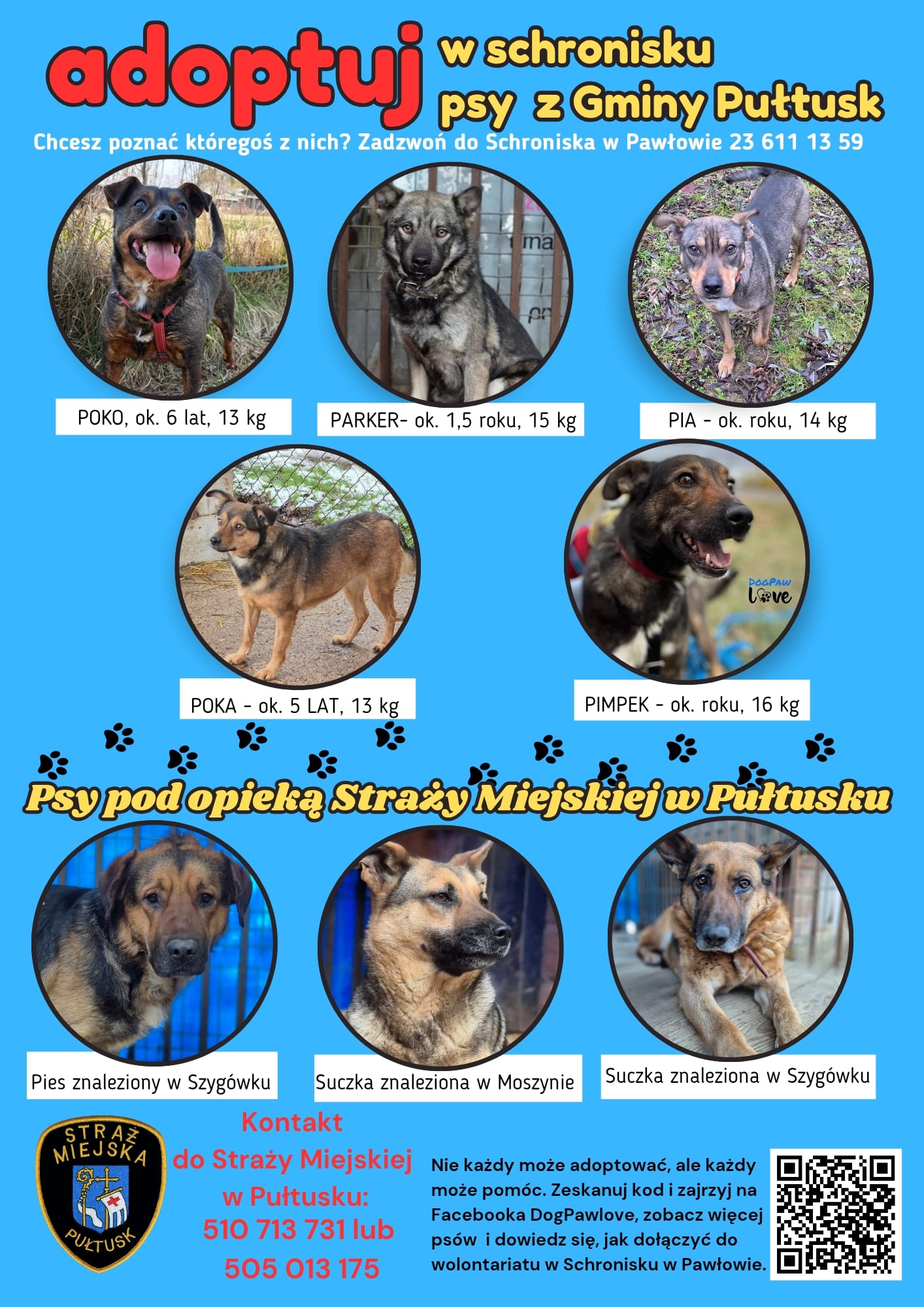 Plakat przedstawiający psy czekające na adopcję
