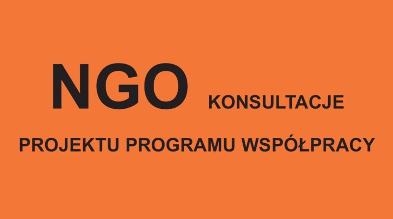 Napis: NGO KONSULTACJE PROGRAMU WSPÓŁPRACY